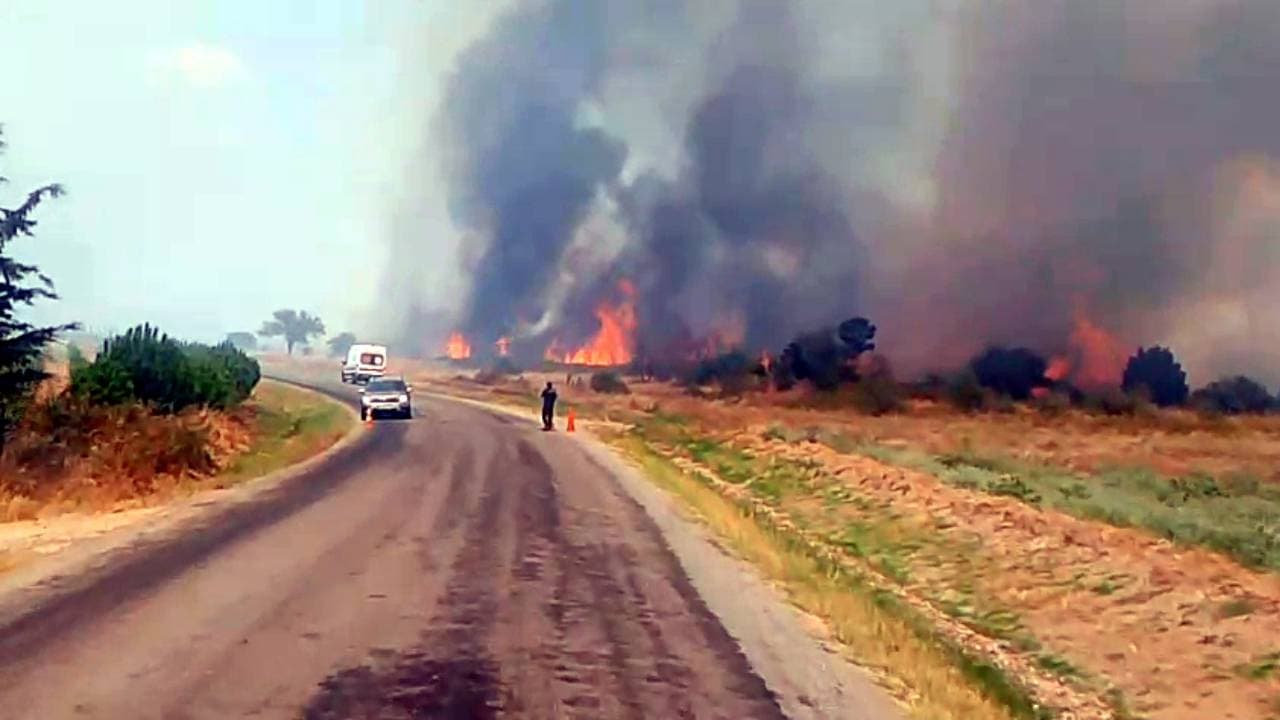 Edirne'de anız yangını korkuttu: Alevler rüzgarın etkisiyle ormana sıçradı