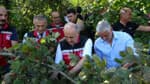 Ordu'da 2026 fındık hasat sezonu resmi törenle başladı