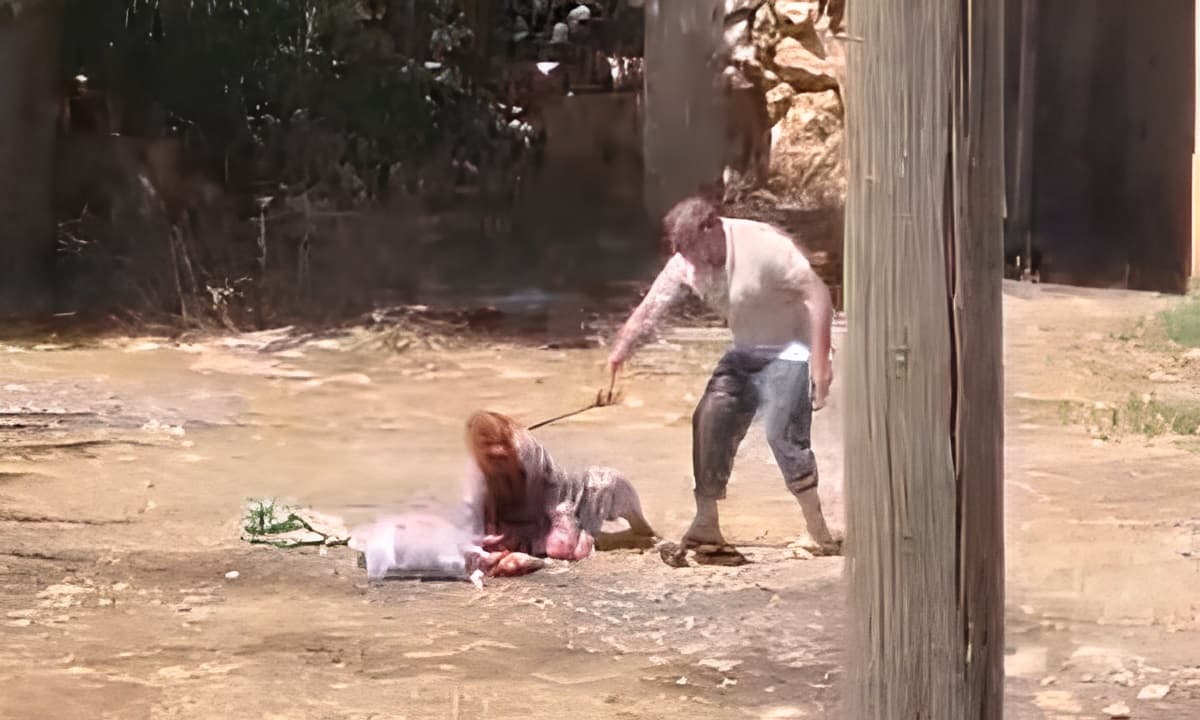 Şanlıurfa'da dehşet: İsviçre'de eşini öldürüp cezaevinden çıkan adam, annesini sopayla öldüresiye dövdü