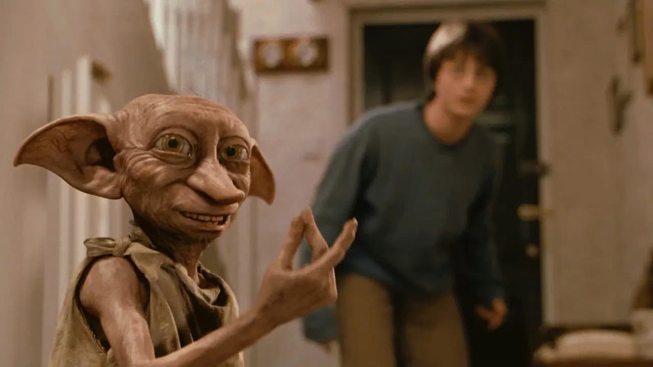 Harry Potter hayranları 580 milyon dolarlık kablo projesini 'Dobby'nin mezarı' için durdurdu