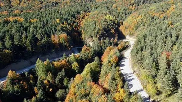 Bolu'da orman yangını alarmı: Göynük ve çevresi için kritik uyarı yapıldı