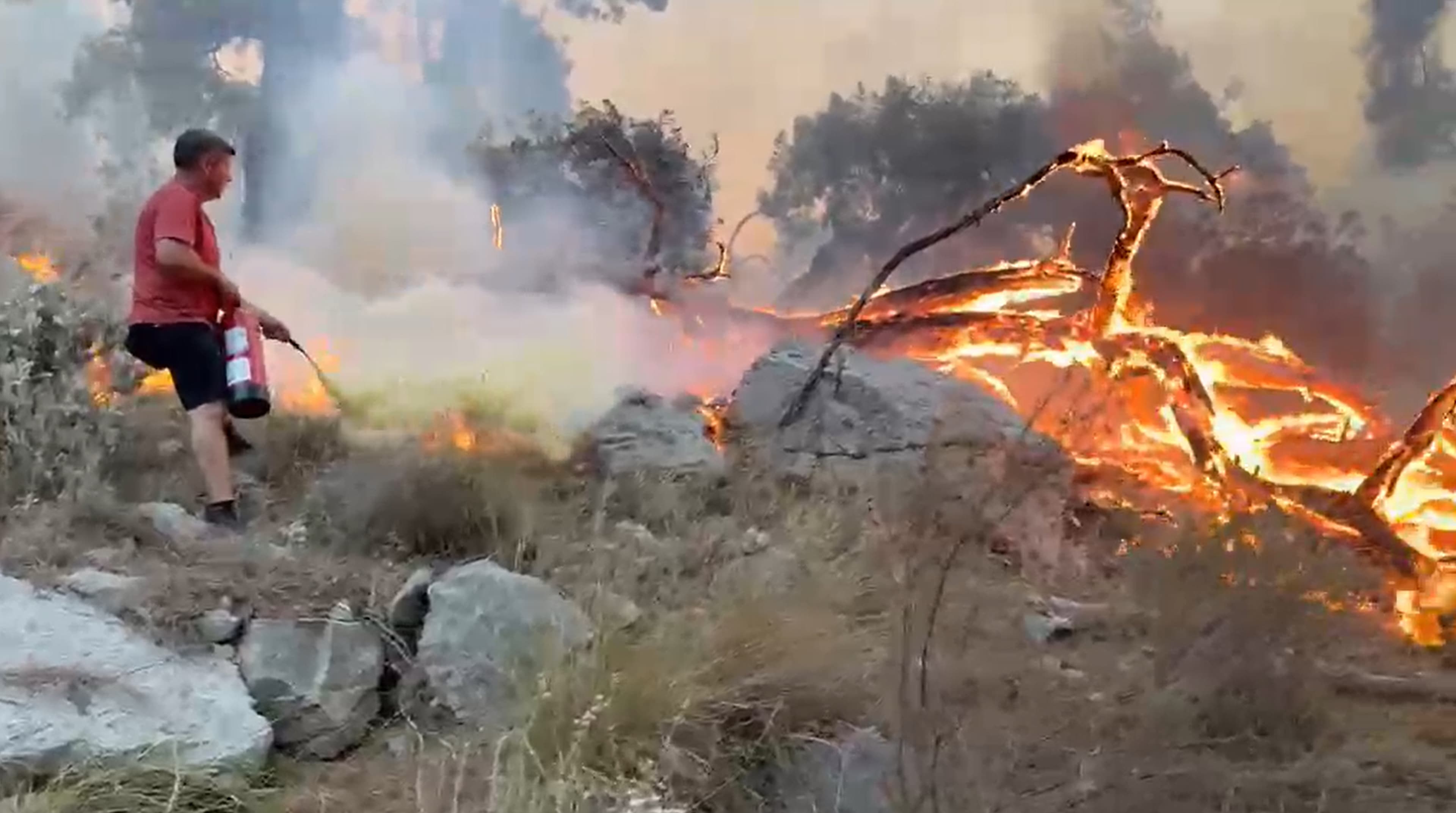 Antalya'da orman yangınına eşekli müdahale: Yangın tüpleri semerle taşındı