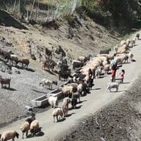 Su için her gün 3 kilometre
