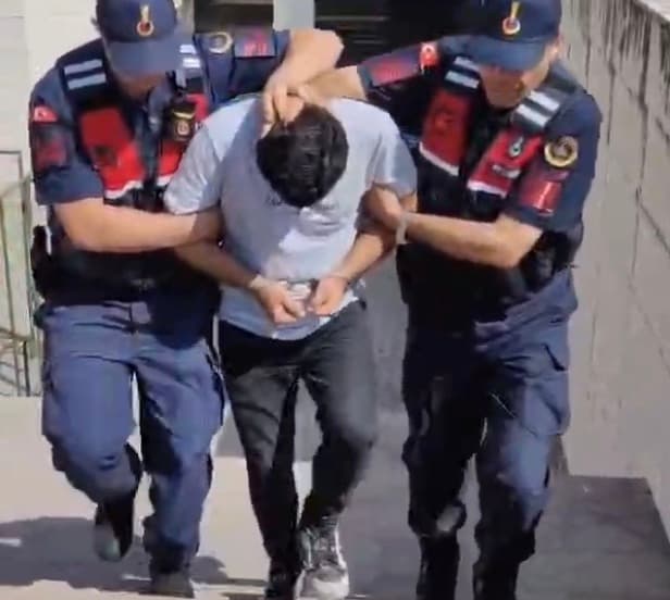Edremit'teki orman yangınıyla ilgili 1 kişi tutuklandı