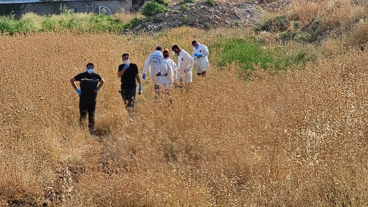 Şanlıurfa'da tarlada erkek cesedi bulundu: Polis soruşturma başlattı