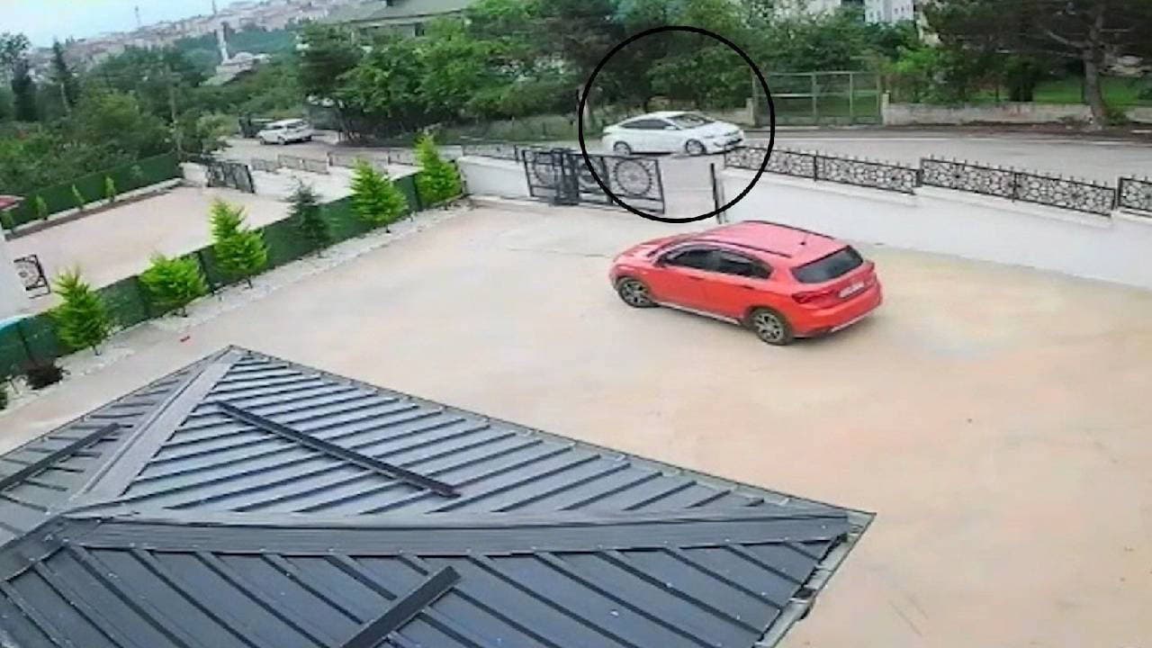 Ordu'da köpeğini ezip kaçan sürücü: 10 yaşındaki çocuk bayıldı