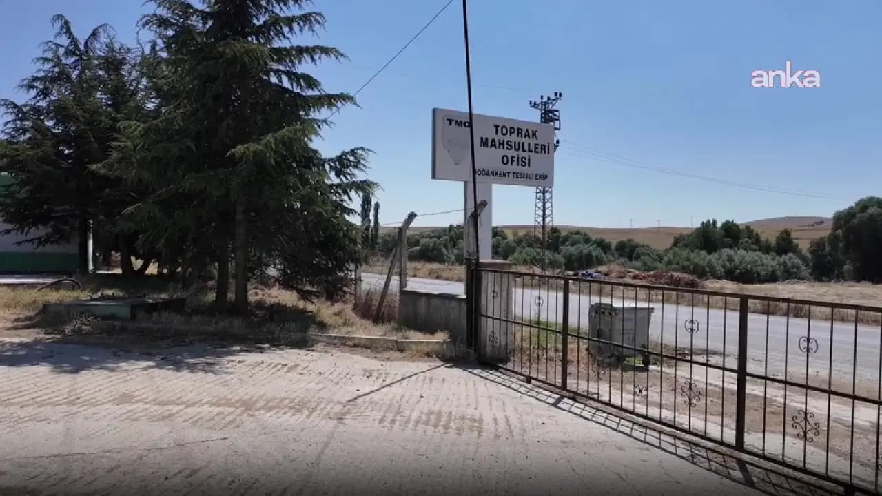 Yozgat'ta hububat bereketi TMO'nun depolarını aşamadı: Çiftçilerden 'silo' çığlığı