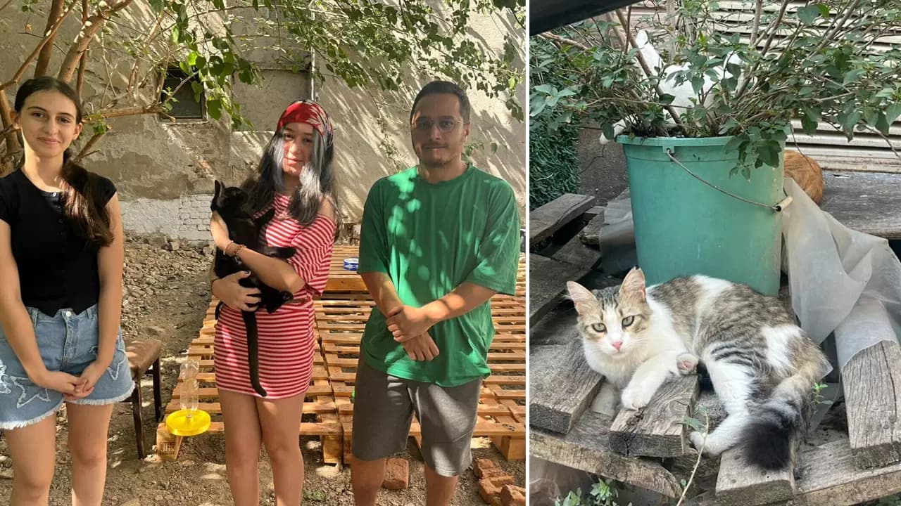 13 yaşındaki Bade'nin 3D yazıcıyla ürettiği mama kapları sokak kedilerine umut oldu