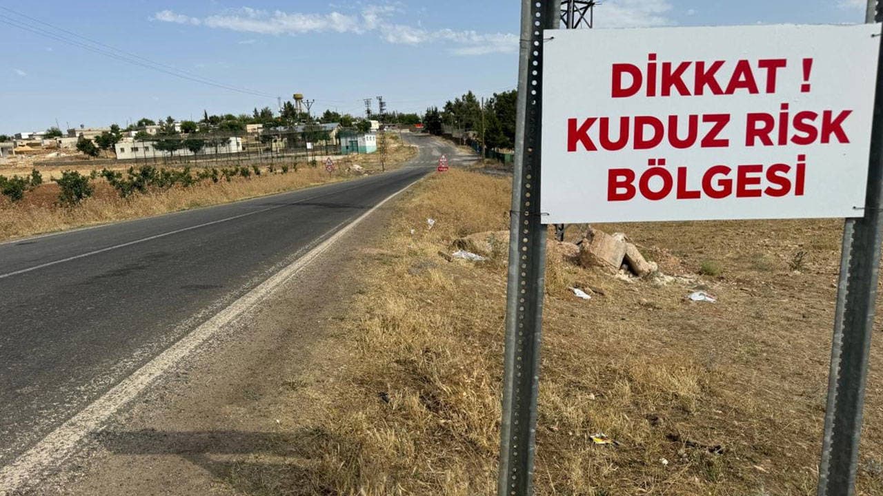 Ardahan'da kuduz alarmı: Büyükbaş hayvanda virüs tespit edildi, bölge karantinaya alındı