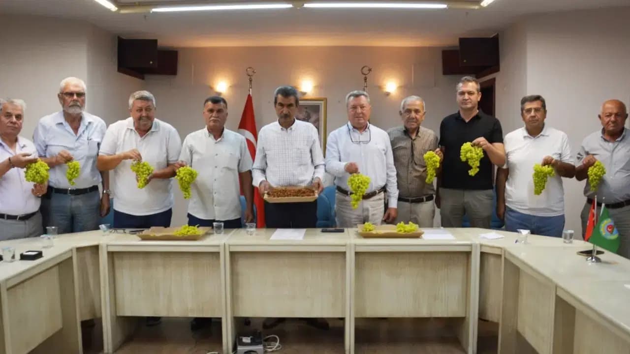 Manisalı üreticilerden kuru üzüm fiyatı için '120 TL'nin üstü' çağrısı