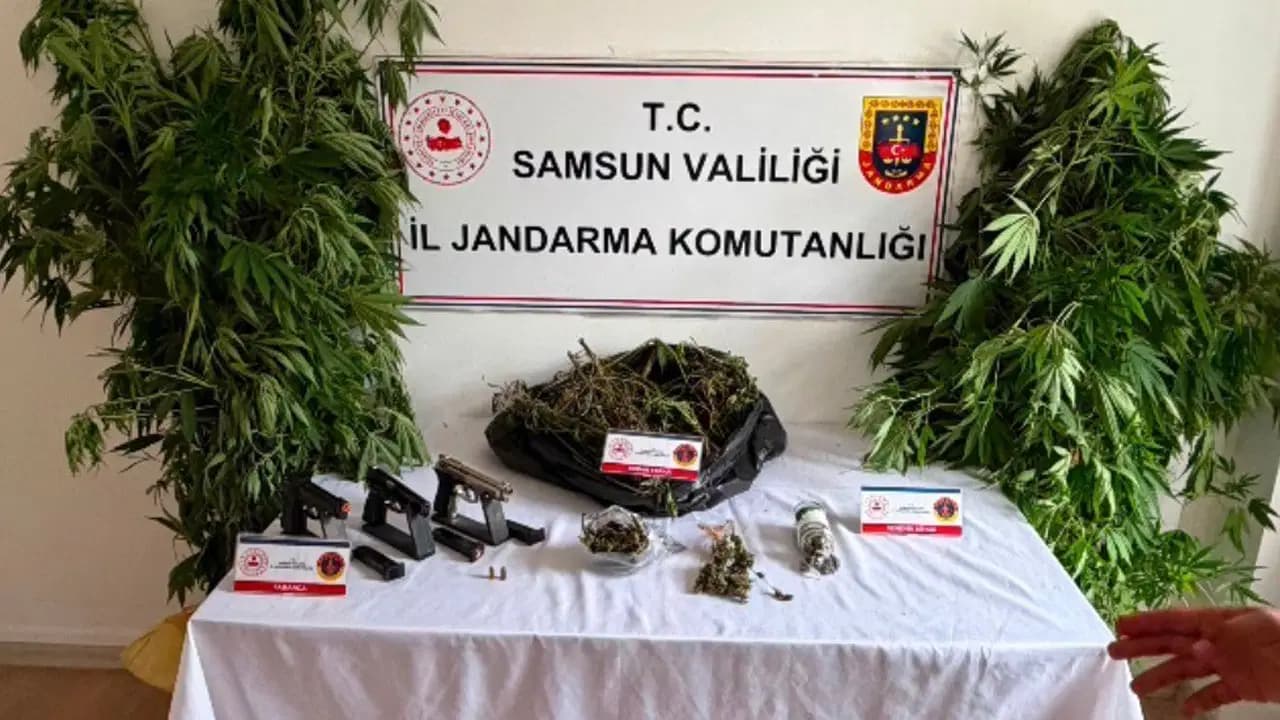 Samsun'da jandarmadan uyuşturucu operasyonu: 1 kilo 215 gram esrar ele geçirildi, 1 kişi tutuklandı