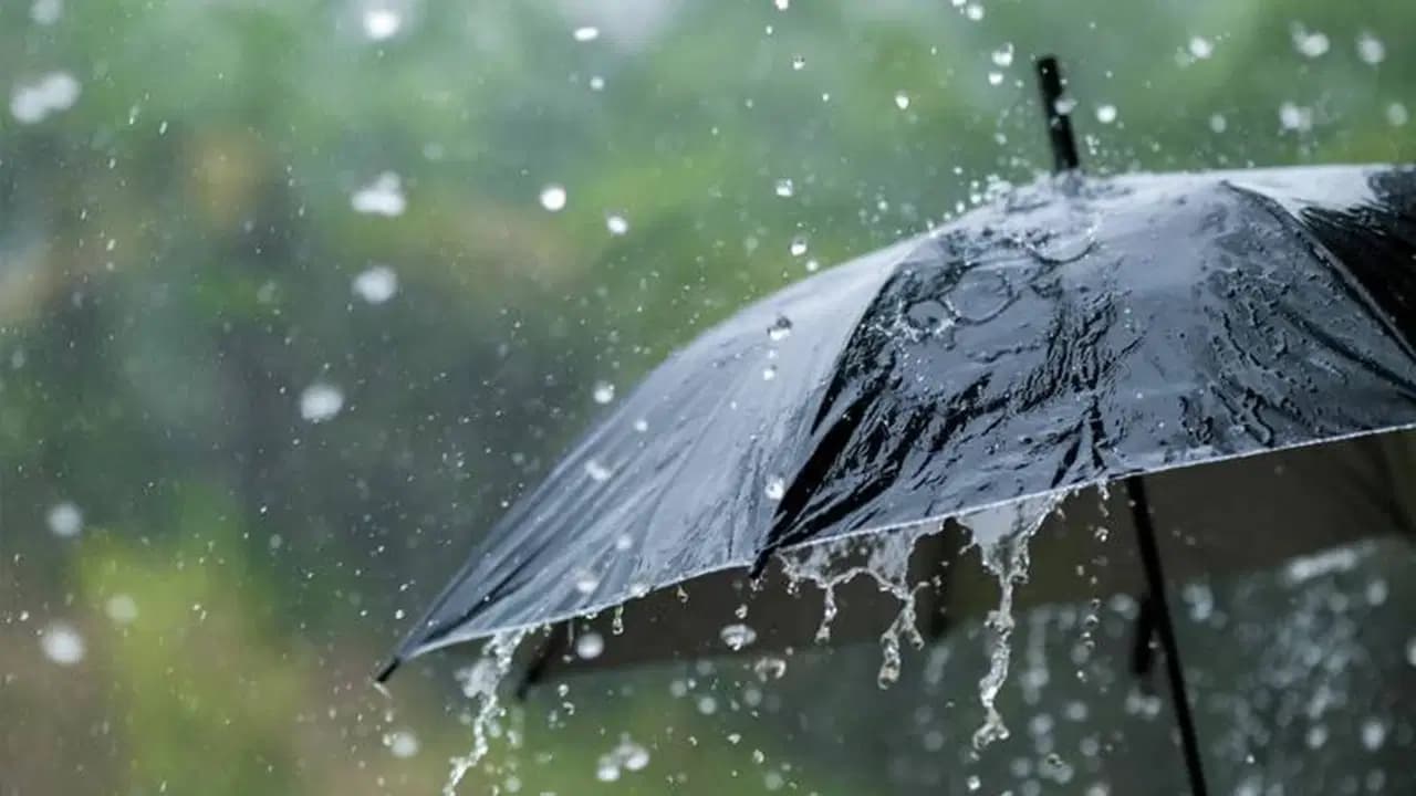 Temmuz yağışlarında dikkat çekici artış, 4 güneydoğu ili kurak kaldı