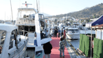 Bodrum Boat Show kapılarını açıyor: 250'den fazla tekne görücüye çıkacak