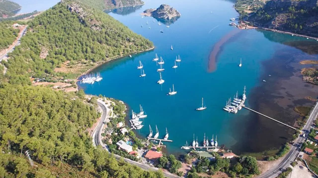 Bilimin radarında: Mavi alanların insan sağlığı üzerindeki gizli etkisi