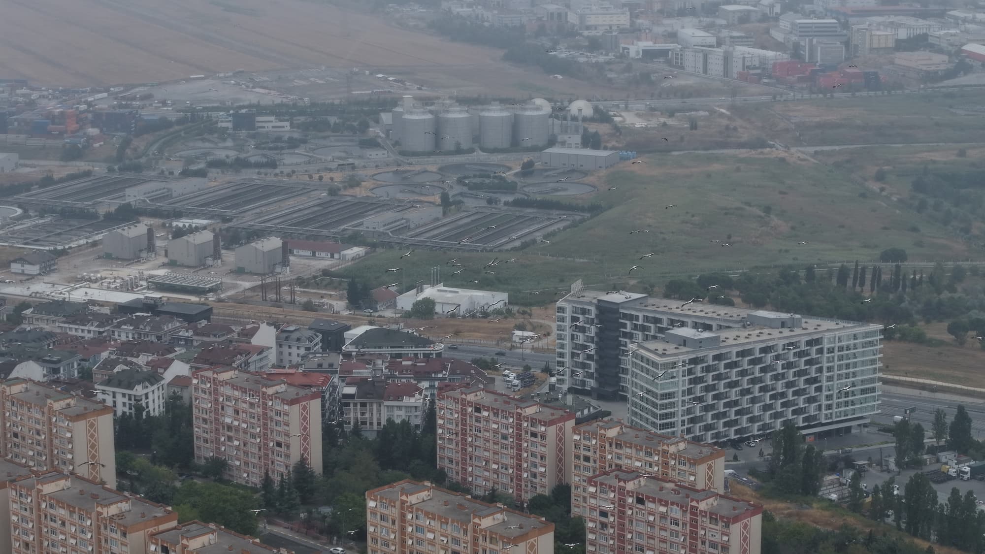 İstanbul'da yaz ortasında kış havası: Leylekler göçe geçti