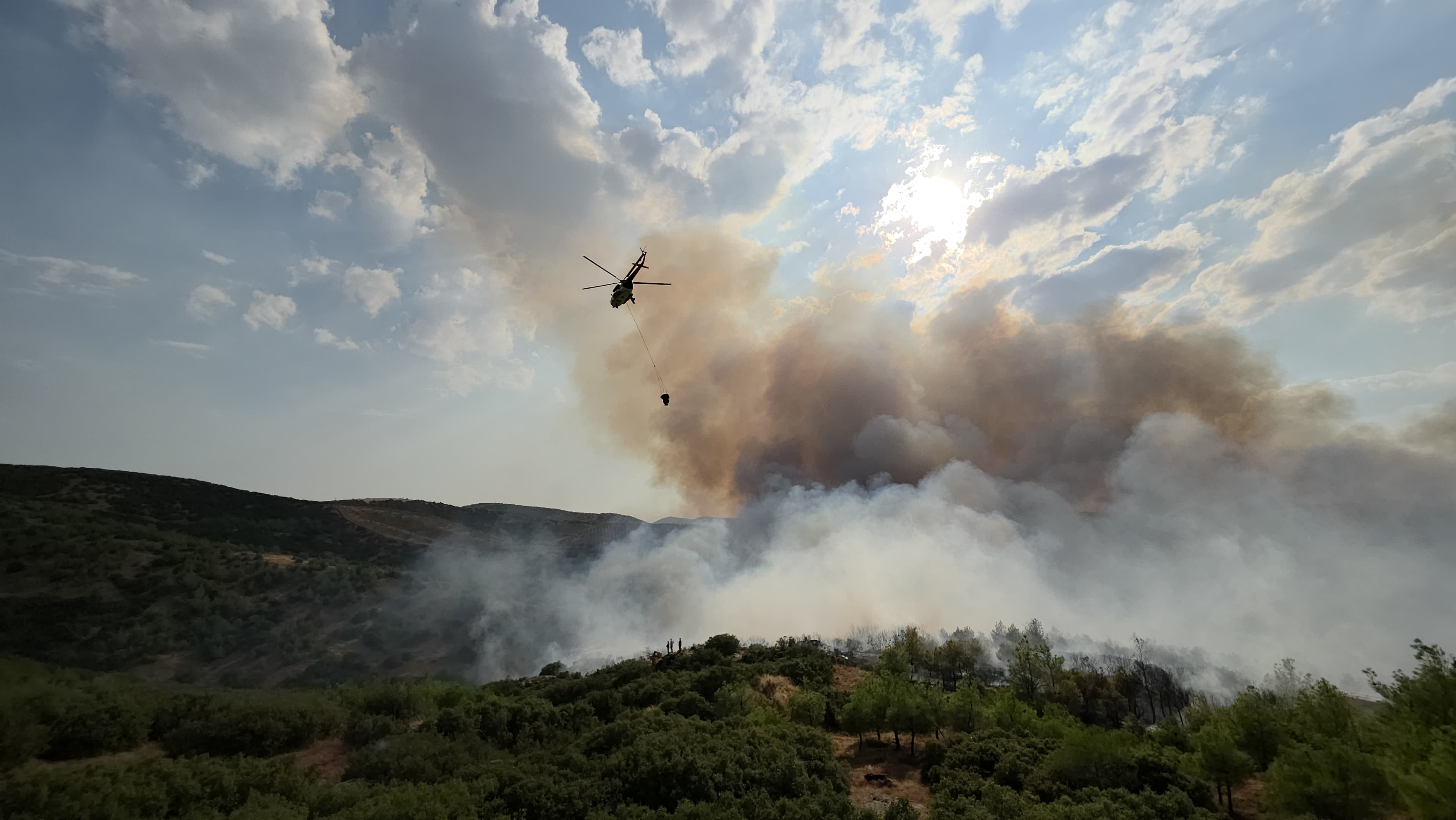 Manisa ve Edirne'de orman yangınları devam ediyor: Havadan ve karadan müdahale sürüyor