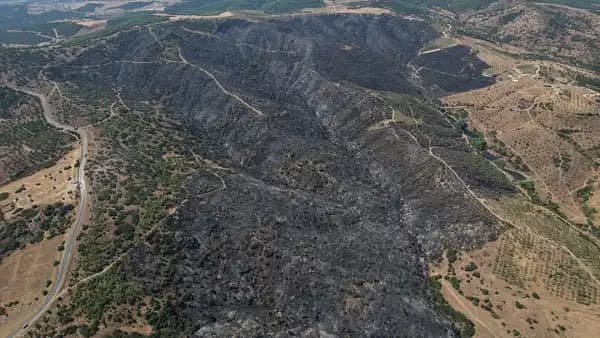 Manisa Kula'da orman yangını sonrası yürek burkan görüntüler