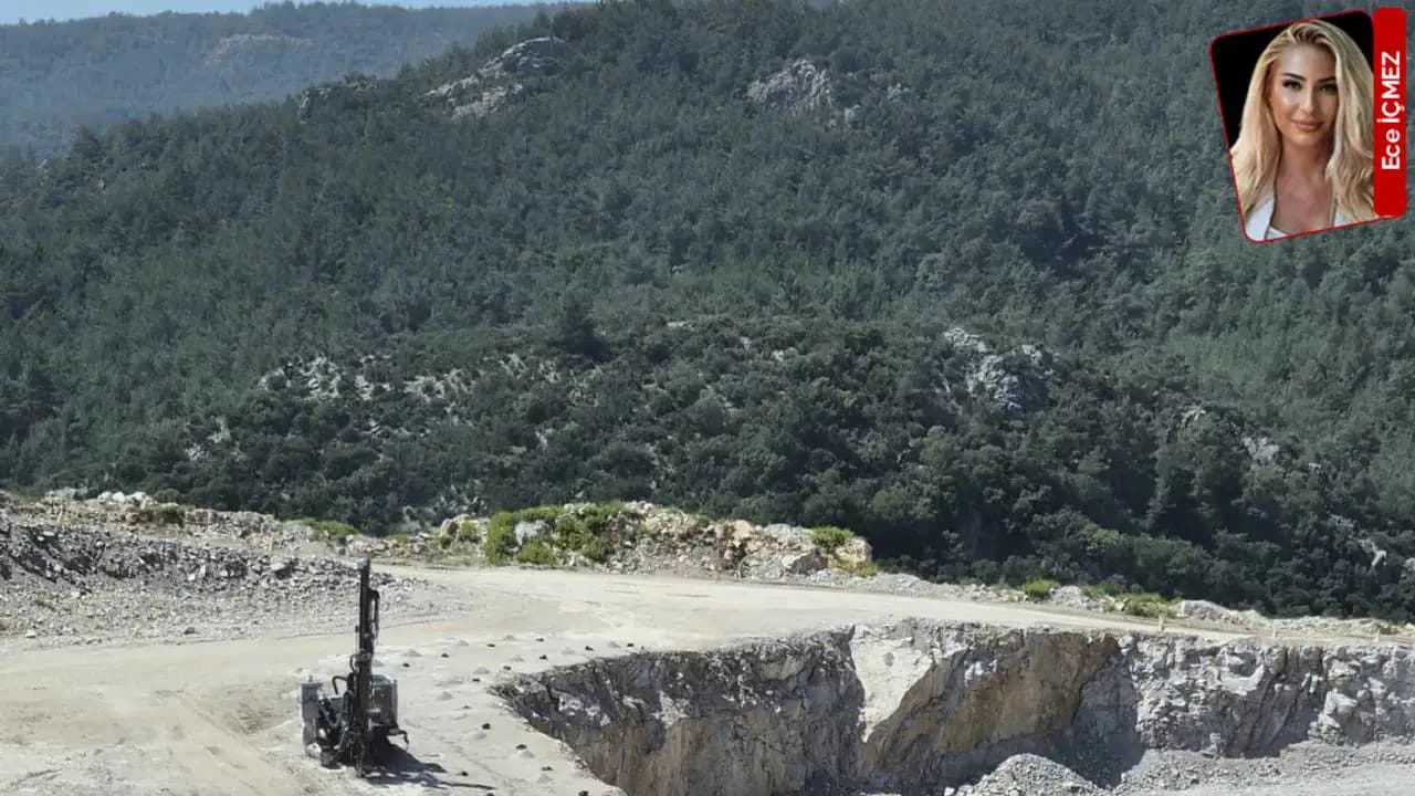 İzmir Menderes'te 142 futbol sahası büyüklüğünde orman alanı maden tehdidi altında