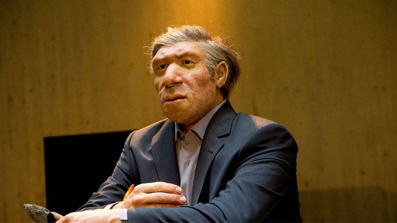Neandertal geni modern insanların boyunu ve kas yapısını şekillendiriyor