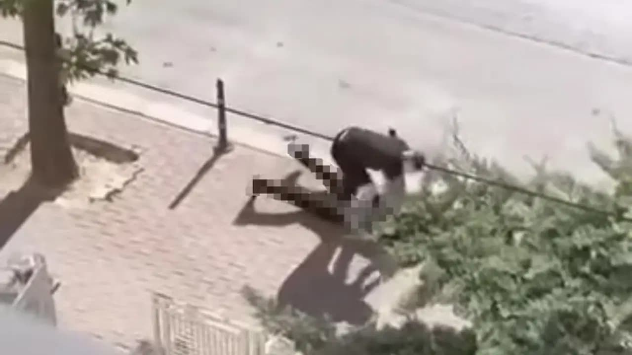 Konya'da sokak ortasında bıçaklı saldırı: Husumetlisini öldürdü