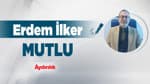 Bilim insanları çok hücreli evrimi doğrudan gözlemledi