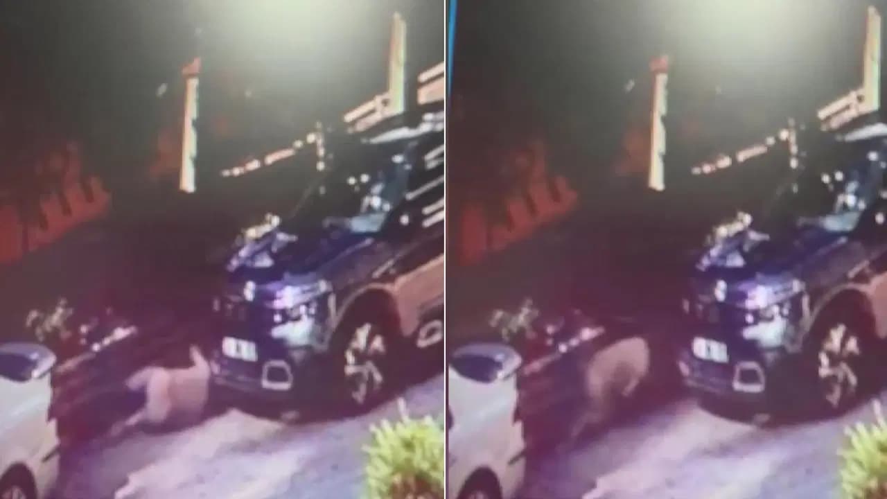 Pendik'te 'markete gidiyorum' deyip evden çıkan kişi sitenin bahçesinde ölü bulundu