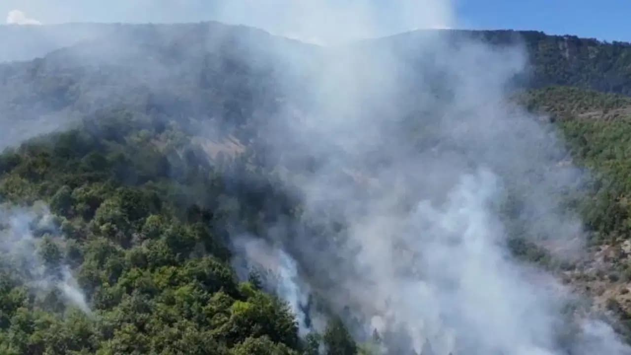 Sinop'ta orman yangını: Gerze-Boyabat kara yolunda alevler yükseliyor