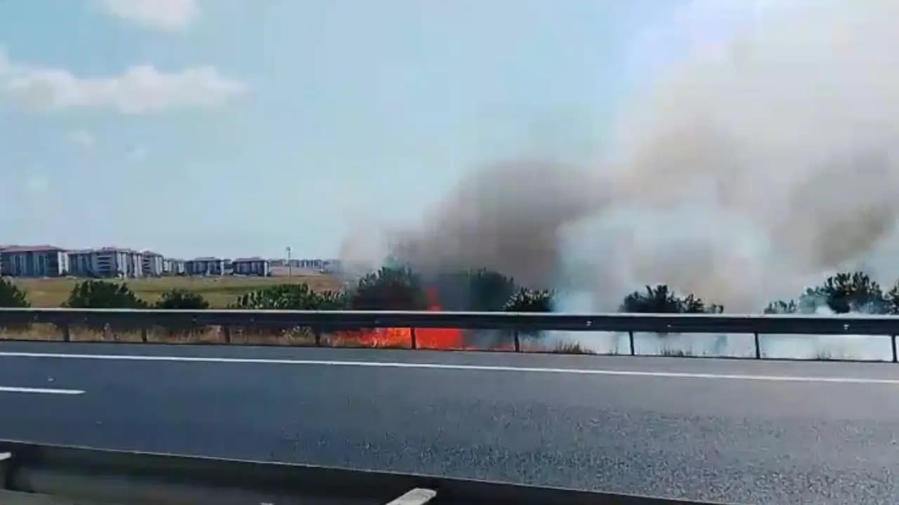 Silivri'de tarlada çıkan yangın rüzgarın etkisiyle büyüyor