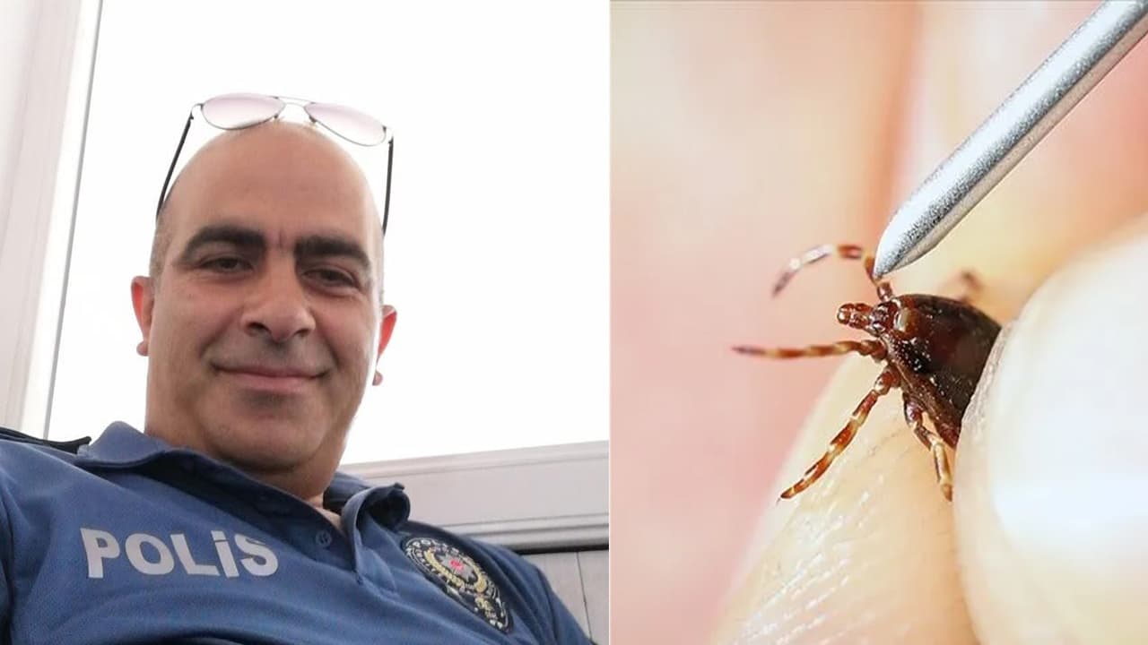 Kene bir can daha aldı