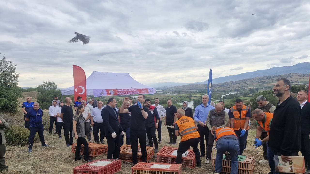 Tokat'ta kene ile mücadelede doğaya 1500 keklik ve sülün salındı
