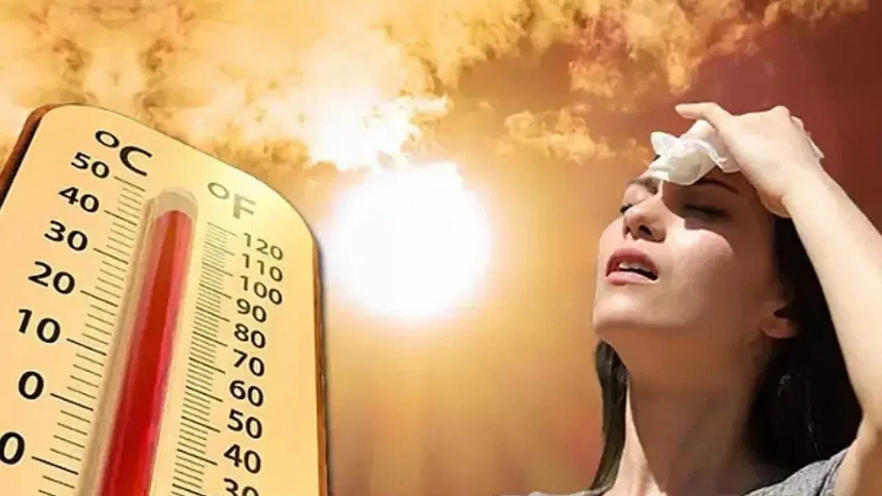 Belçika'da sıcak hava alarmı: Uccle istasyonunda termometreler 35,7 dereceyi gösterdi