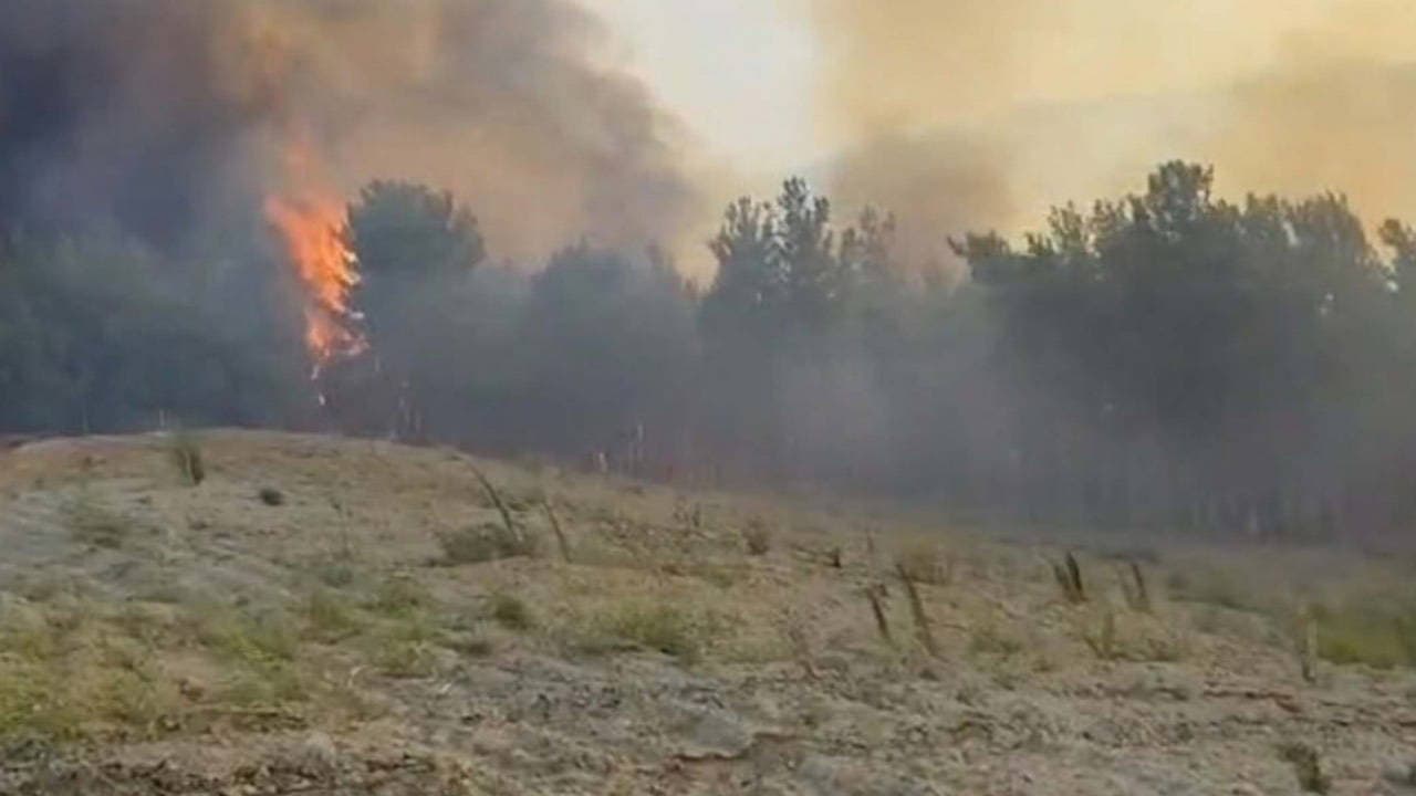 Manisa Akhisar'da orman alevlere teslim: Havadan ve karadan müdahale sürüyor
