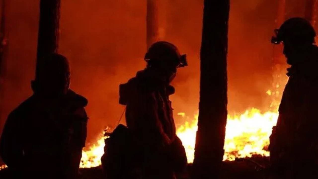 Belçika Tarihinin En Büyük Orman Yangınıyla Mücadele Ediyor: 1600 Hektar Alan Alevlere Teslim Oldu