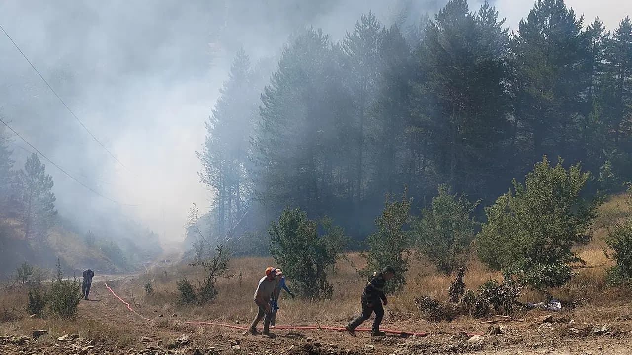 Bakan Gürlek açıkladı: 64 orman yangınıyla bağlantılı 11 şüpheli tutuklandı