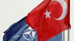 Vatan Partisi'nden sol partilere NATO eleştirisi: 'Milli Devlet ekseninde birleşilmeli'