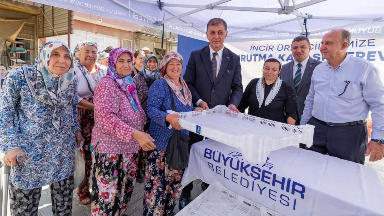 İzmir'de incir üreticisine 10 bin kerevetlik destek: Ürün kayıpları azalacak