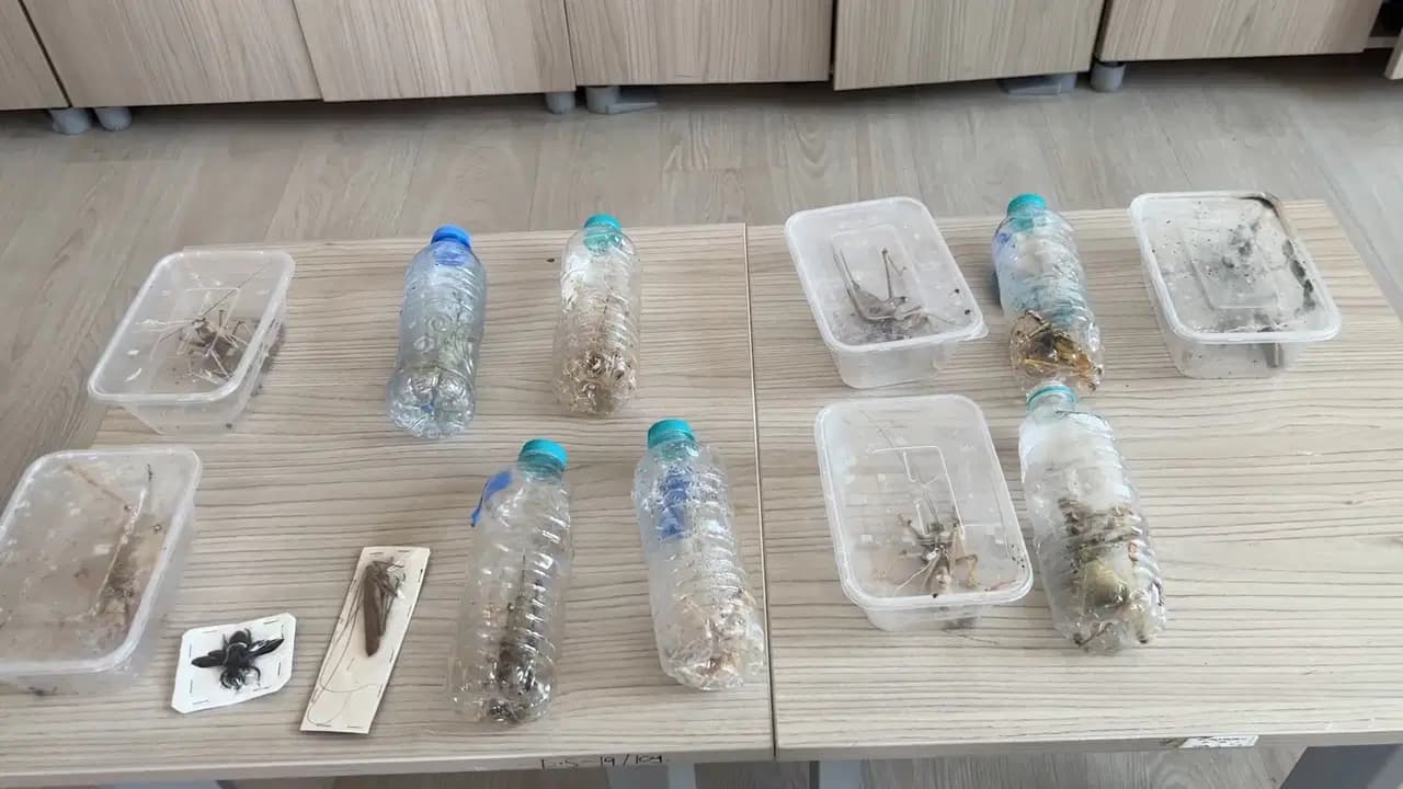 Nemrut Dağı'ndan izinsiz çekirge toplayan iki yabancıya 1,4 milyon liralık ceza
