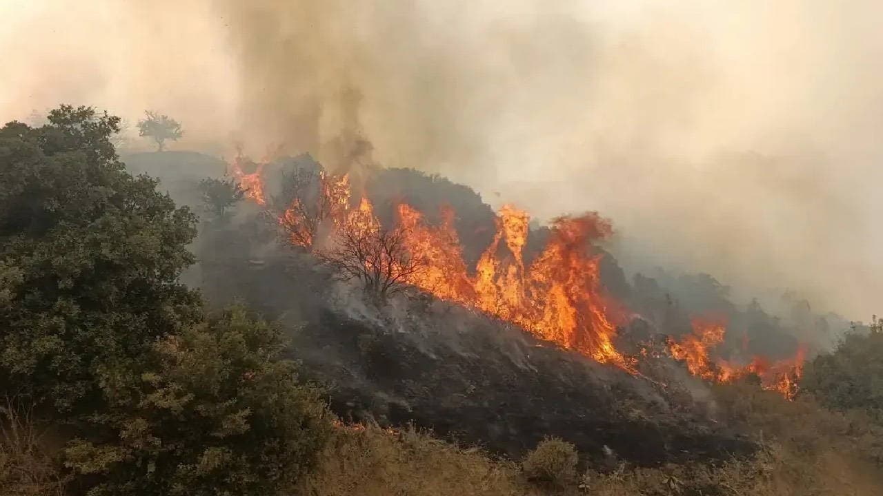 Manisa'nın Turgutlu ilçesinde makilik alanda alevler yükseldi: Ekipler seferber oldu